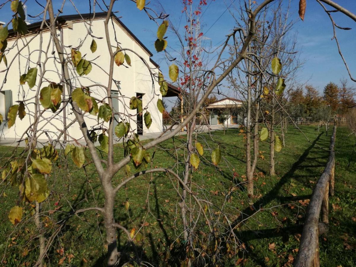 רוביגו Agriturismo Corte Benetti מראה חיצוני תמונה