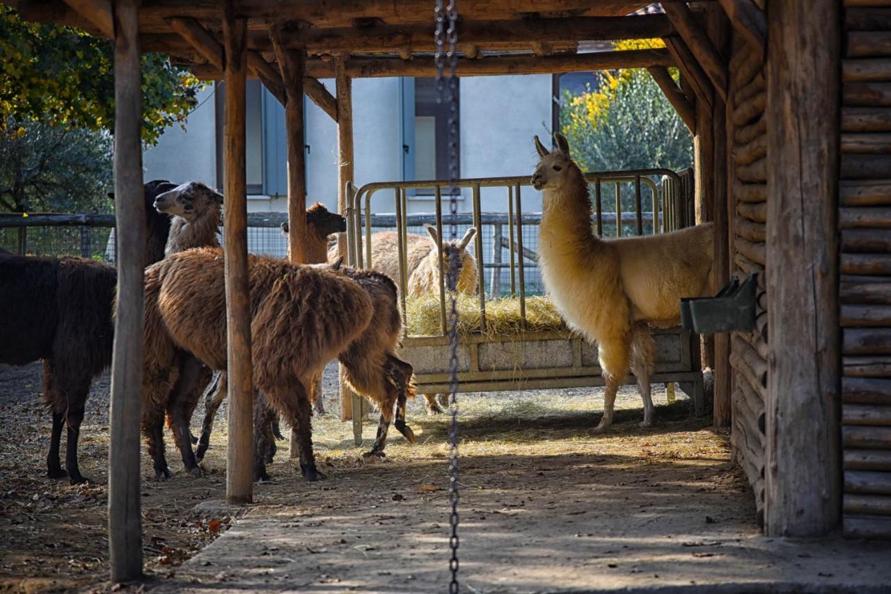 רוביגו Agriturismo Corte Benetti מראה חיצוני תמונה
