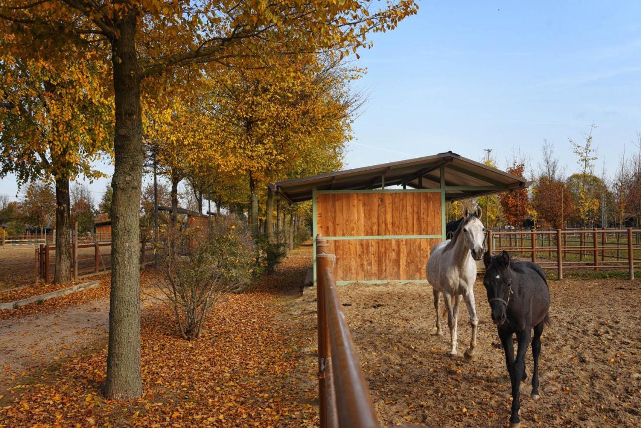 רוביגו Agriturismo Corte Benetti מראה חיצוני תמונה